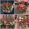 Felice Arts 6 Pack Christmas Picks Artificial Red Berry Stems Fake Holly Berries for Xmas Tree Ornaments DIY Wreath Vase Holiday Home Decor